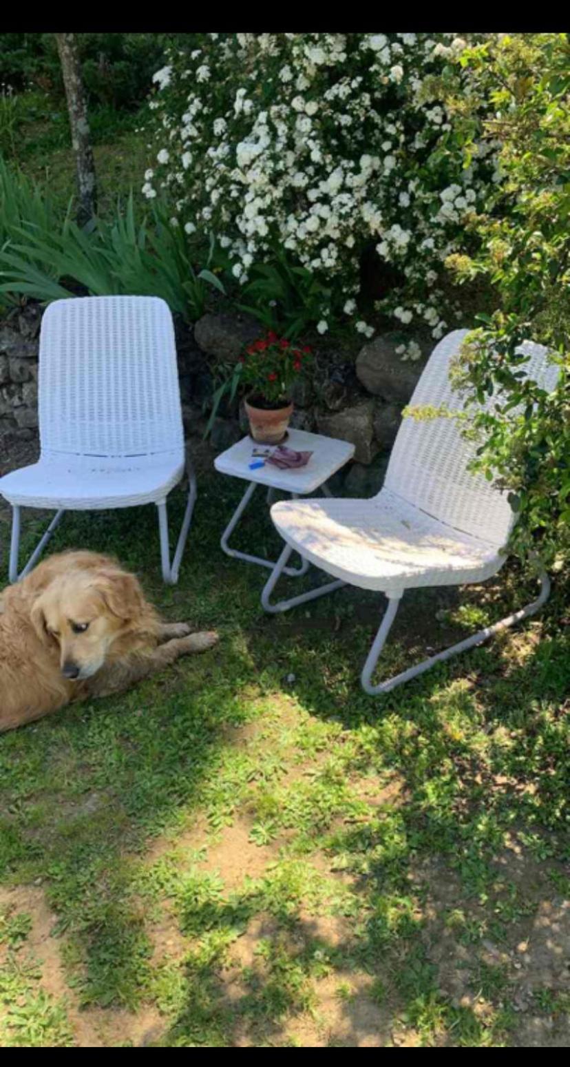 Piscina, Relax E Arte Apartamento *